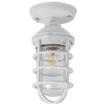 Shaan Outdoor Ceiling Light